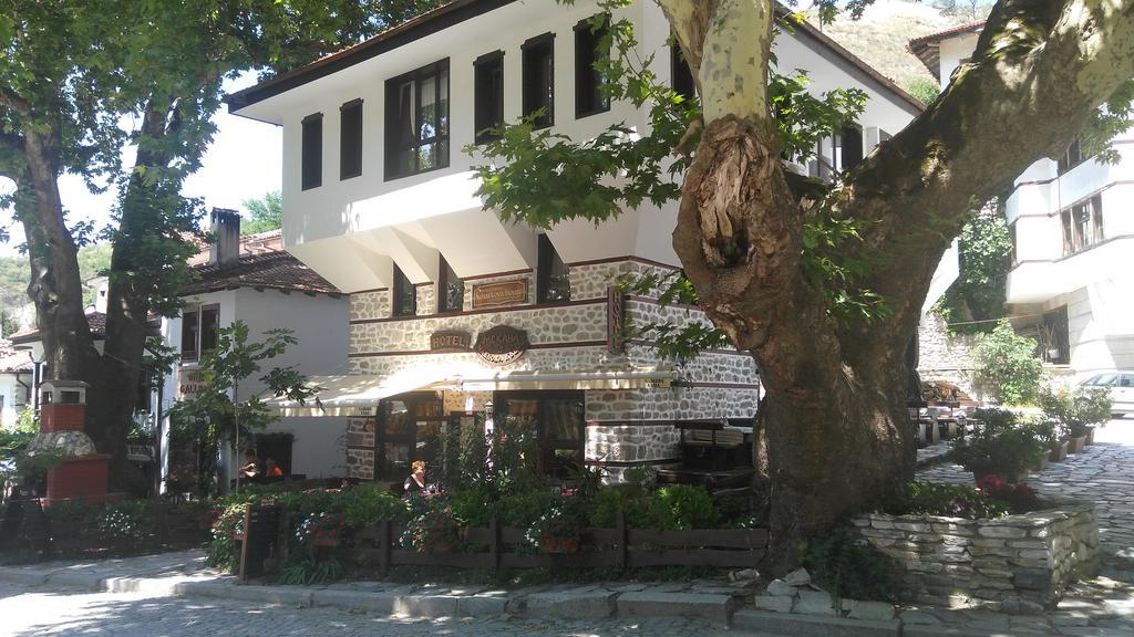 Chavkova House Мелник Екстер'єр фото