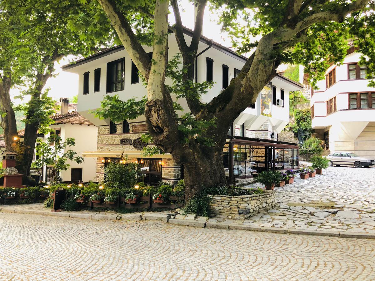 Chavkova House Мелник Екстер'єр фото