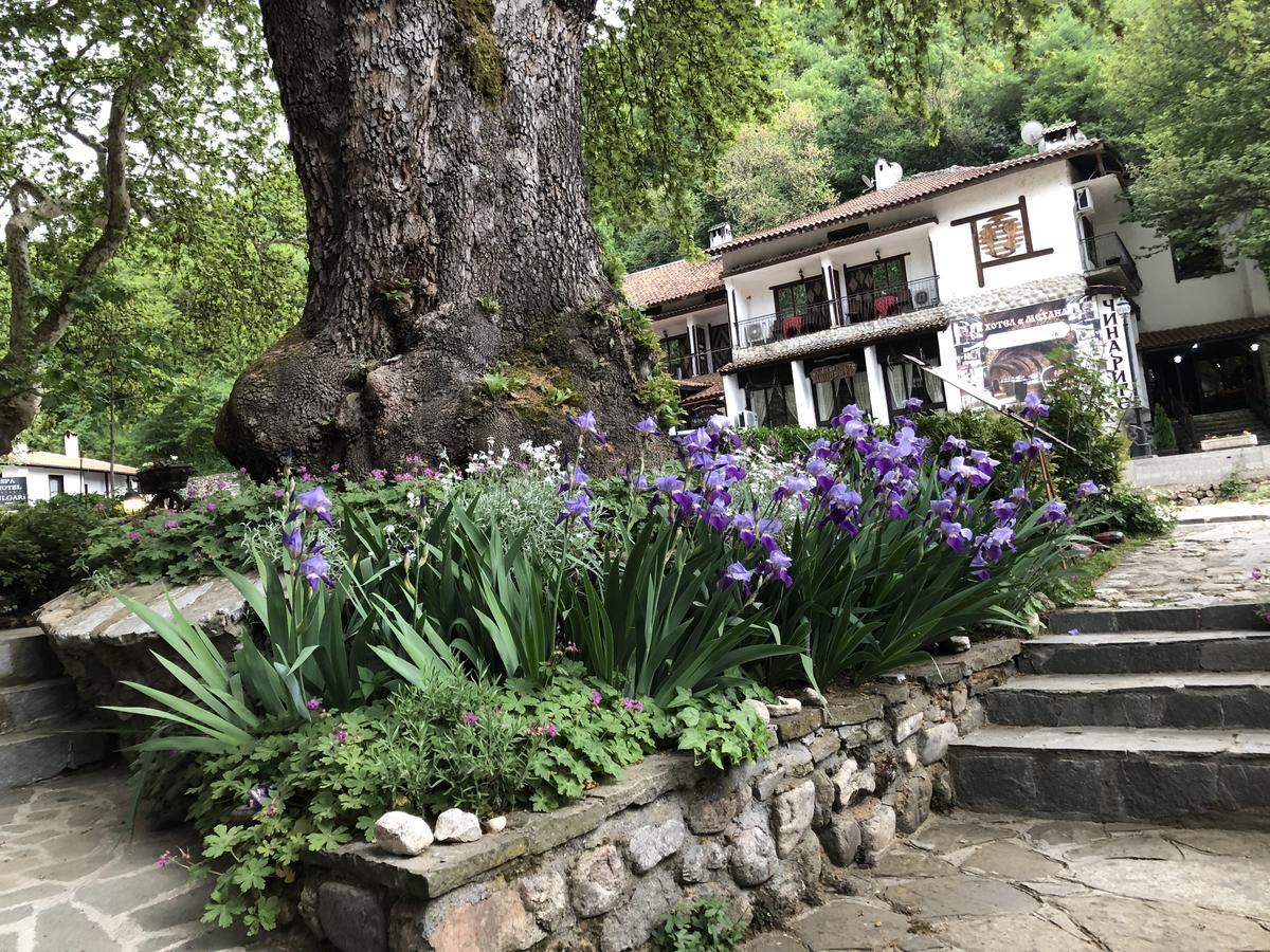 Chavkova House Мелник Екстер'єр фото