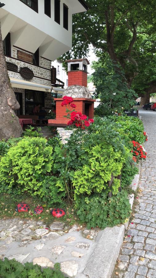 Chavkova House Мелник Екстер'єр фото